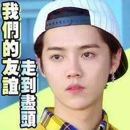 娱乐圈吃瓜真假,真假瓜果纷飞，揭秘明星幕后真相